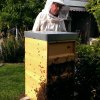 Ein Bienenvolk zieht ein Teil 1